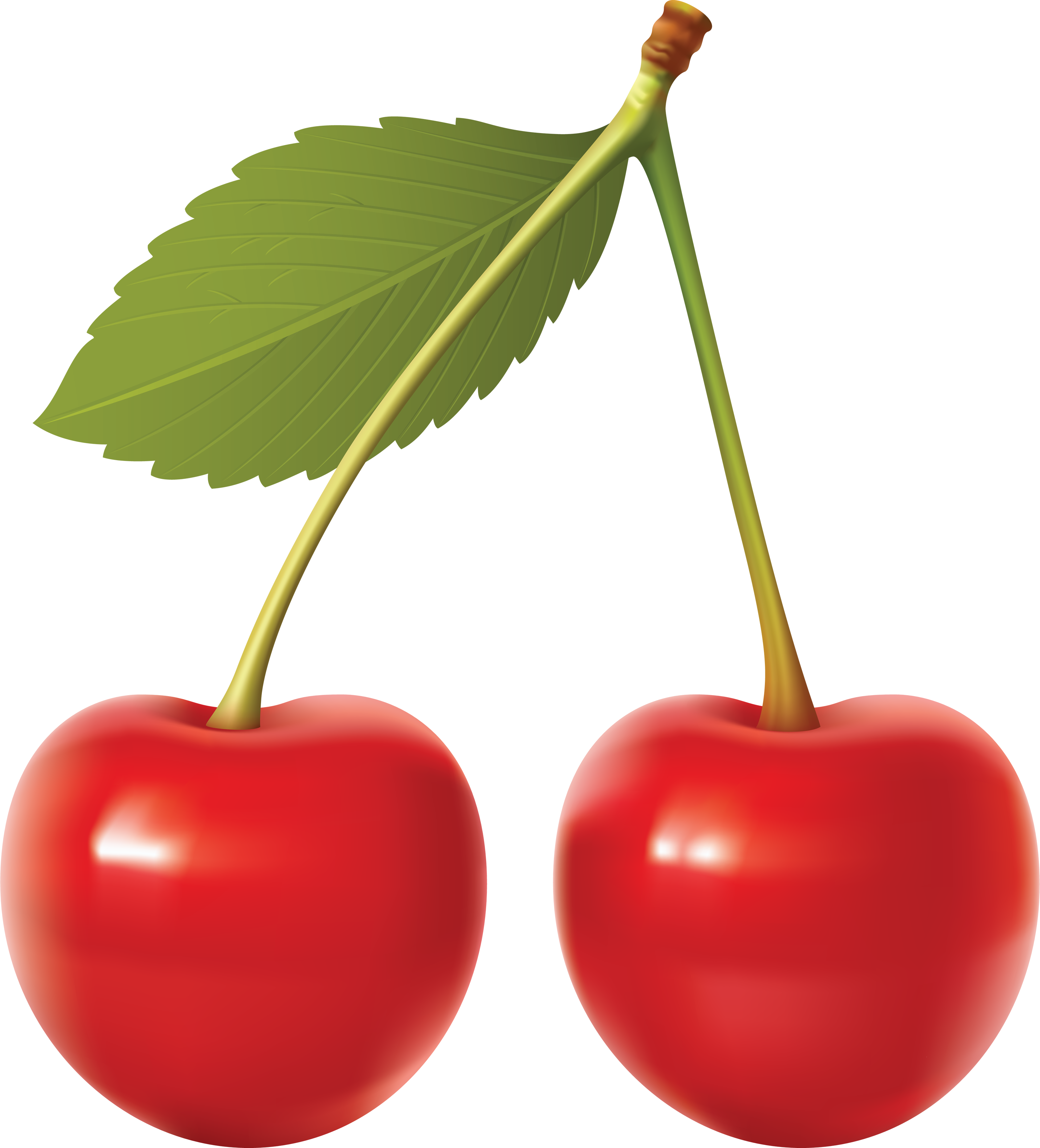 Cherry Vector File PNG Image