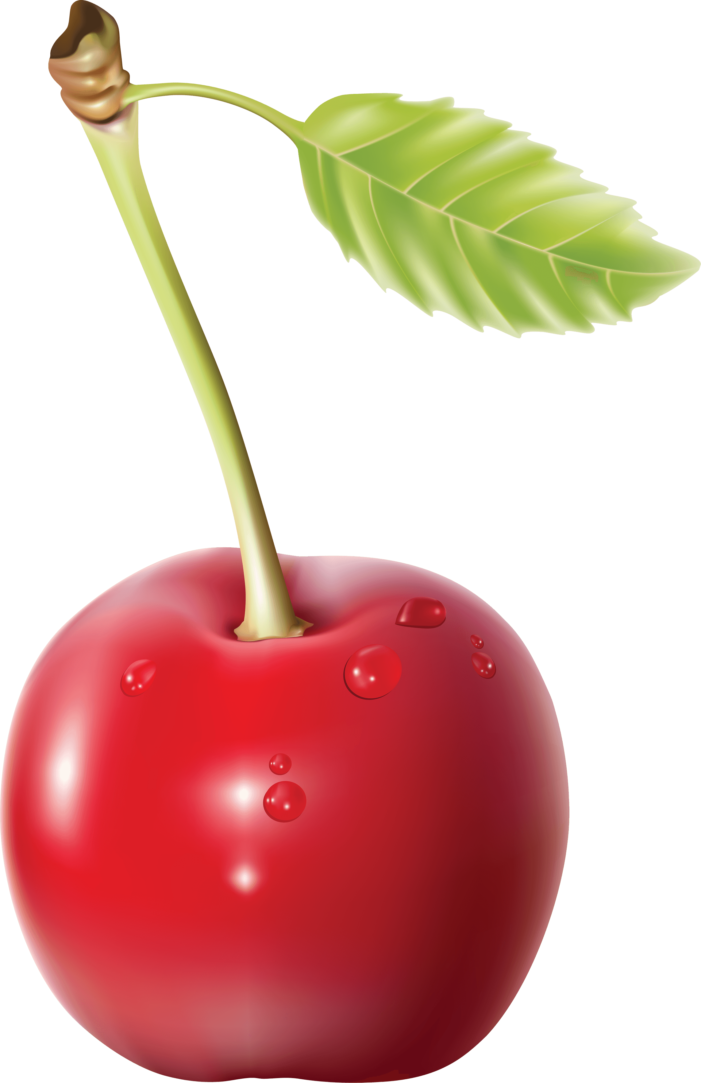 Cherry Png Image PNG Image