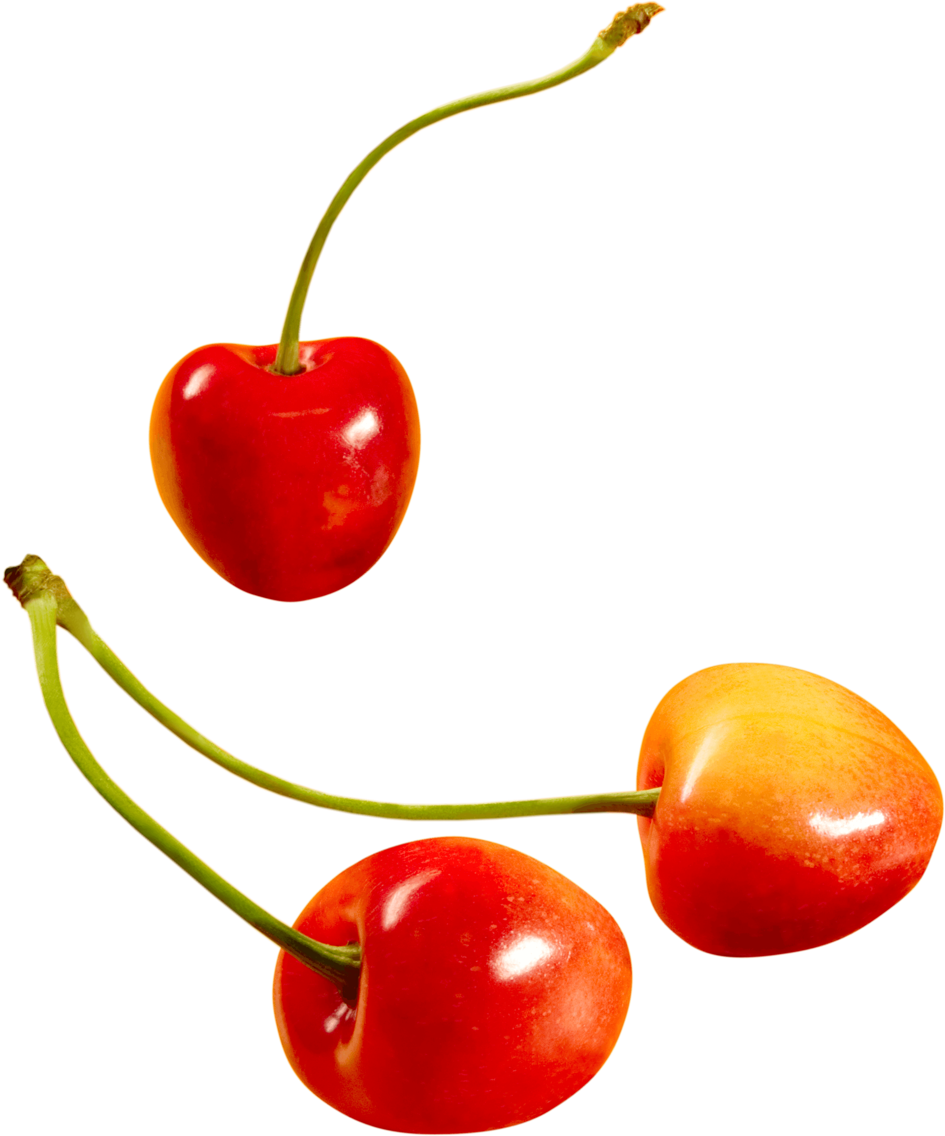 Cherry Png Image PNG Image