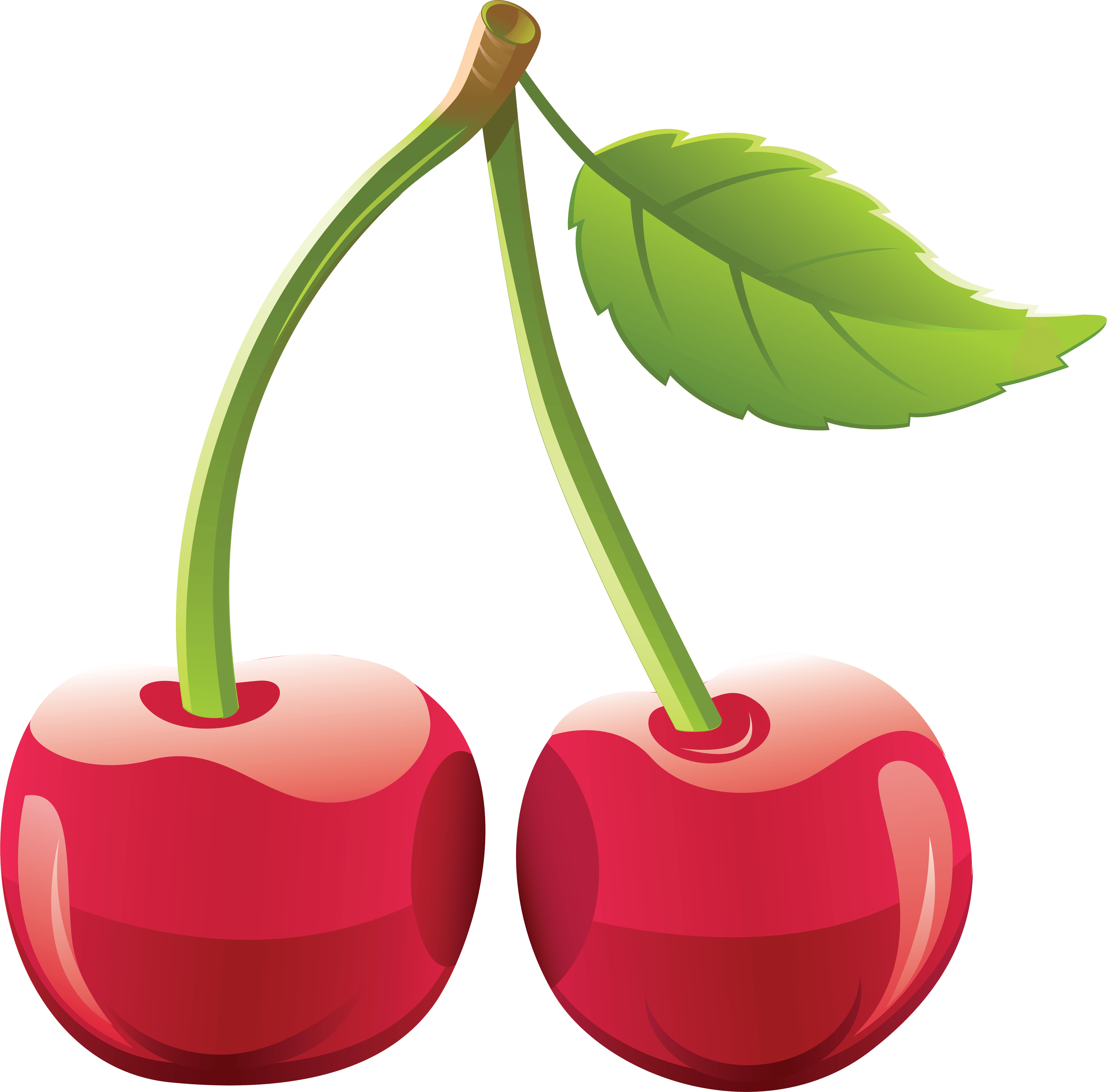 Cherry Png Image PNG Image