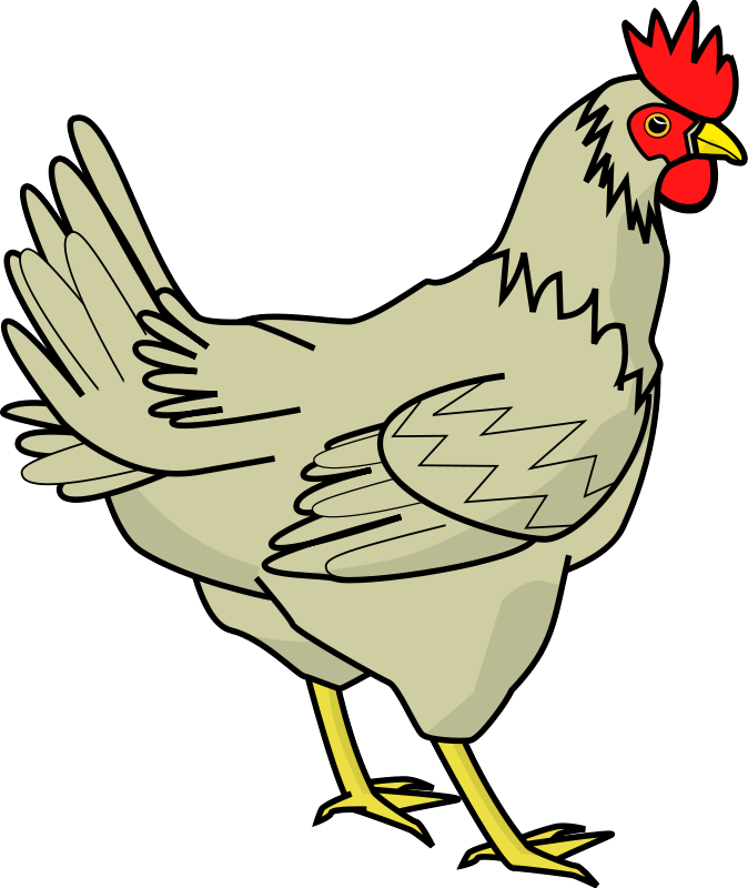 Picture Chicken Png Image PNG Image