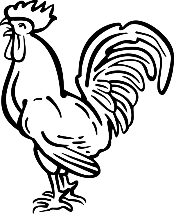 Tattoo Chicken Haan Rooster Download HQ PNG PNG Image