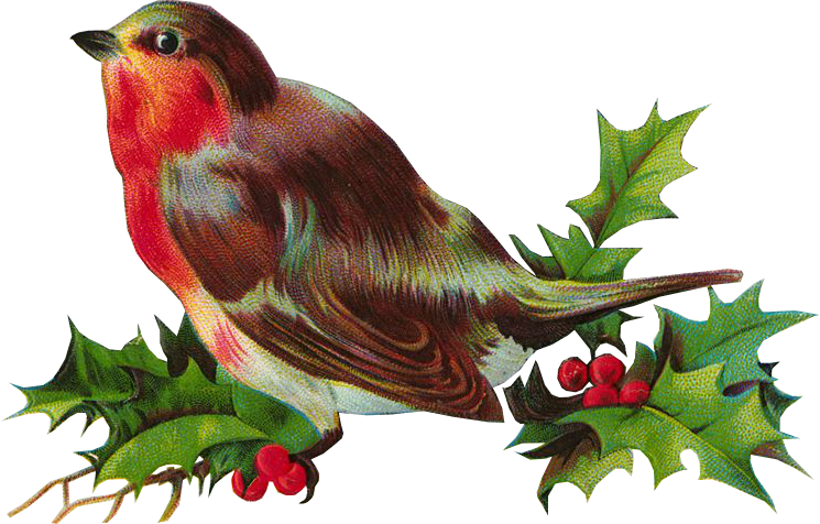 Christmas Bird Free Transparent Image HD PNG Image