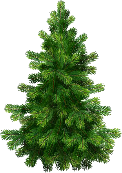 Christmas Nature Image PNG Image