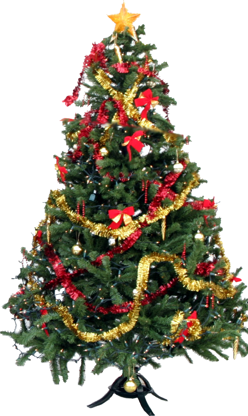 Christmas Tree Picture PNG Image