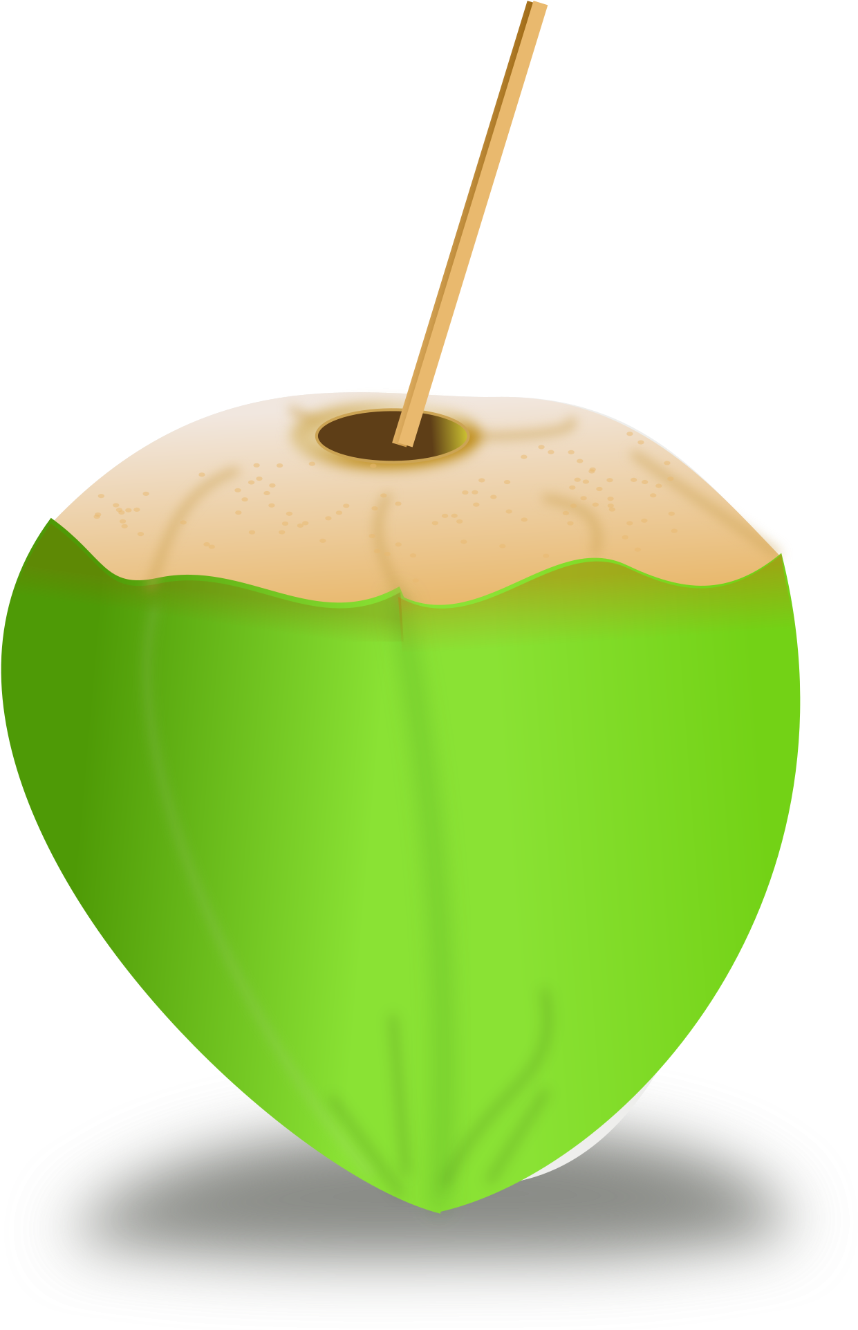 Coconut Green Download HD PNG Image