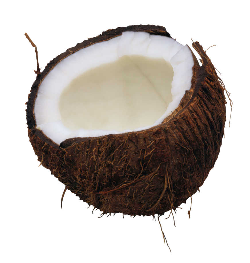 Coconut Png Image PNG Image