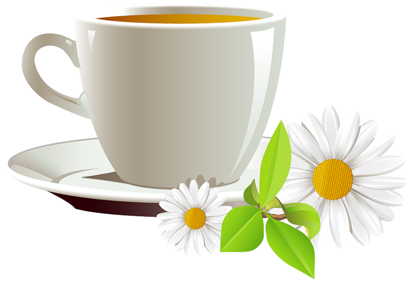 And Coffee Cup Of Tea Cafe Daisies PNG Image