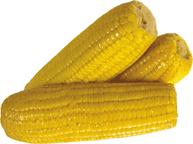 Corn Png Image PNG Image