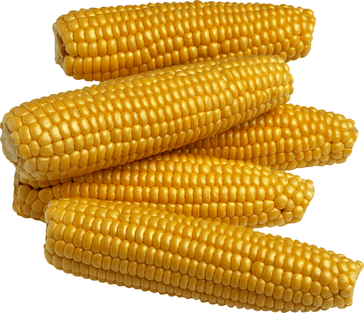Yellow Corn Png Image PNG Image