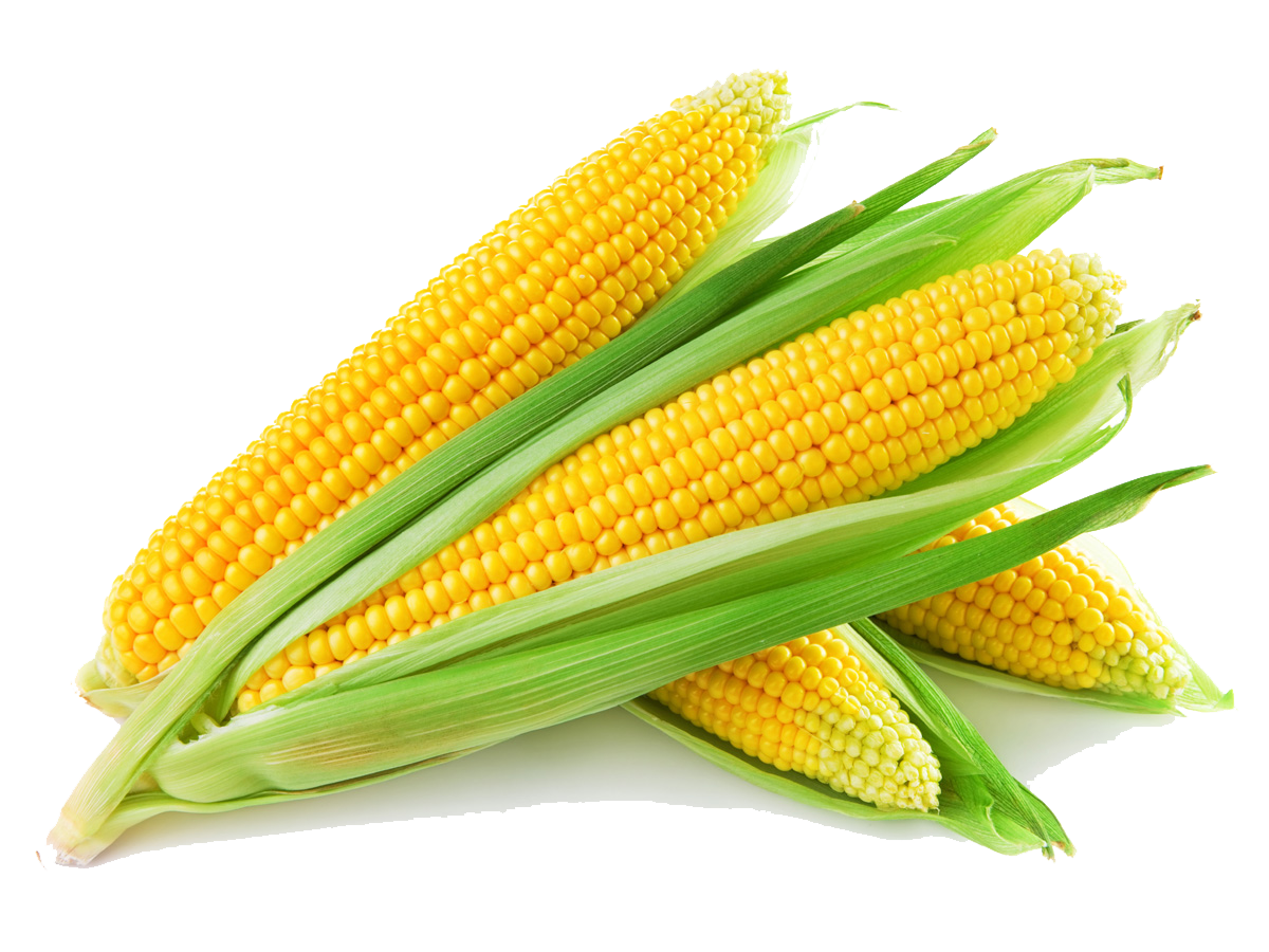 Sweet Corn PNG Image