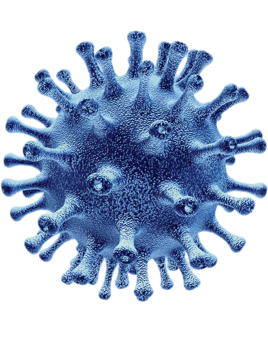 Coronavirus Download Free Image PNG Image