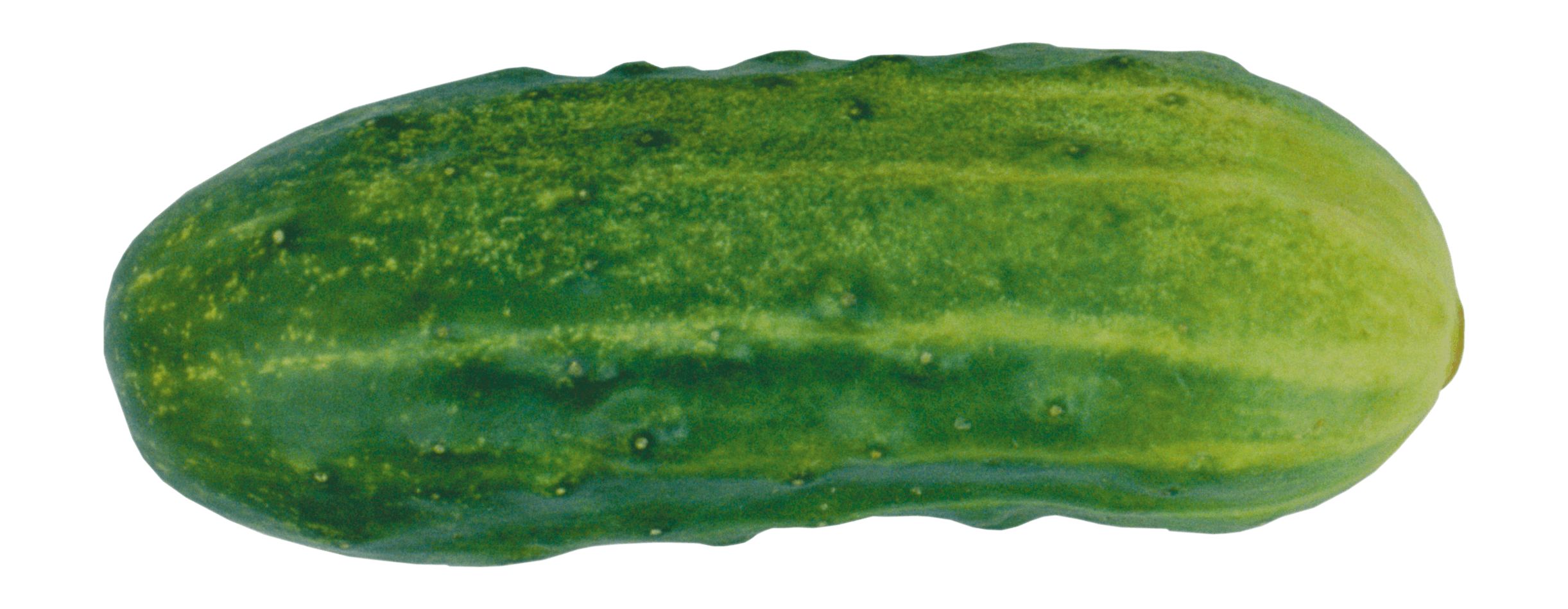 Green Cucumber Png Image PNG Image