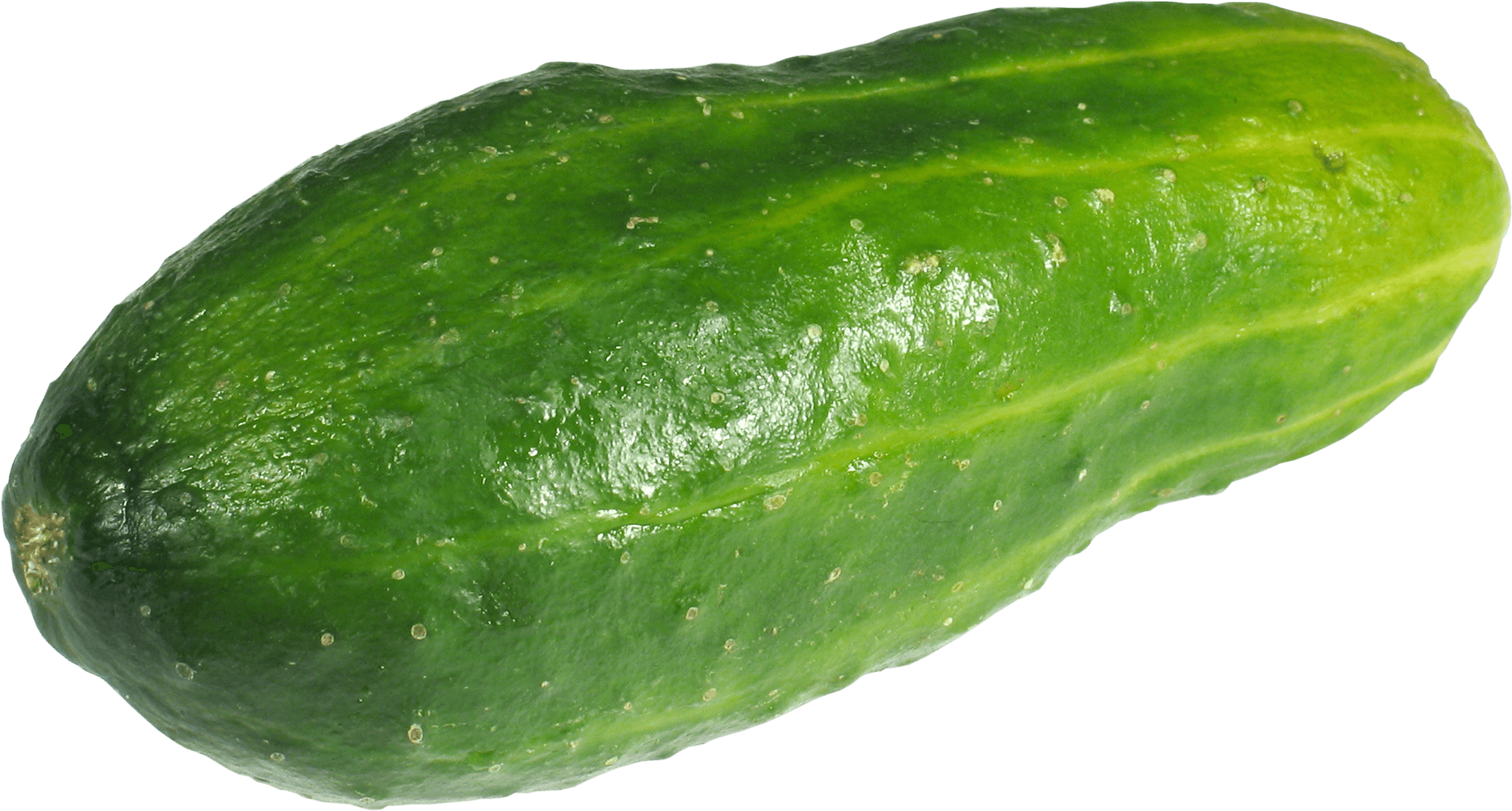 Green Cucumber Png Image PNG Image