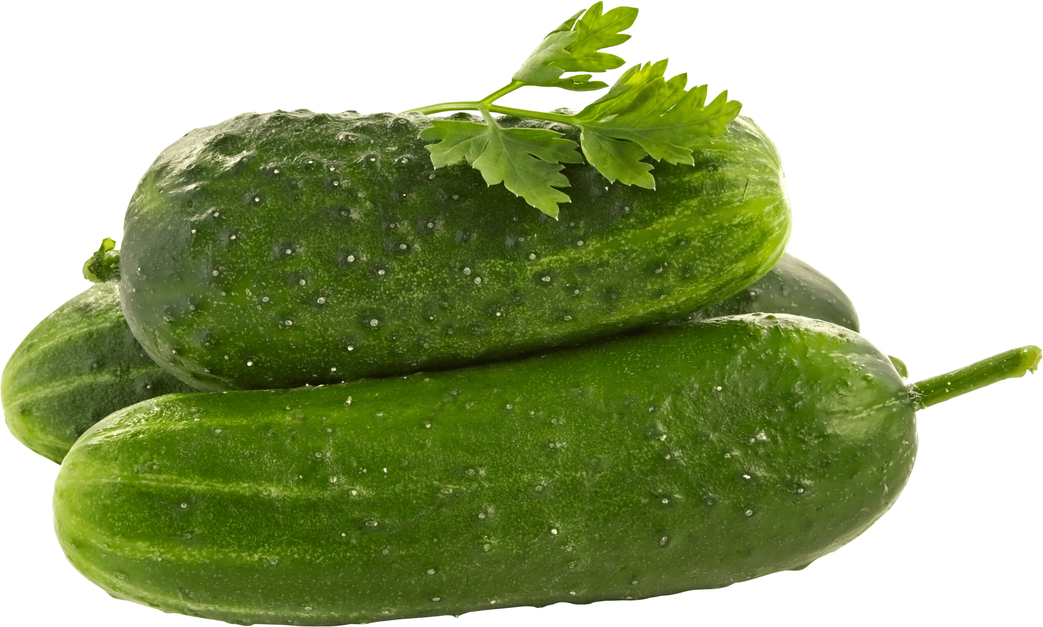 Green Cucumber Png Image PNG Image