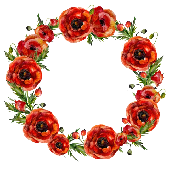 Poppy Frame Flower Round Free Transparent Image HQ PNG Image