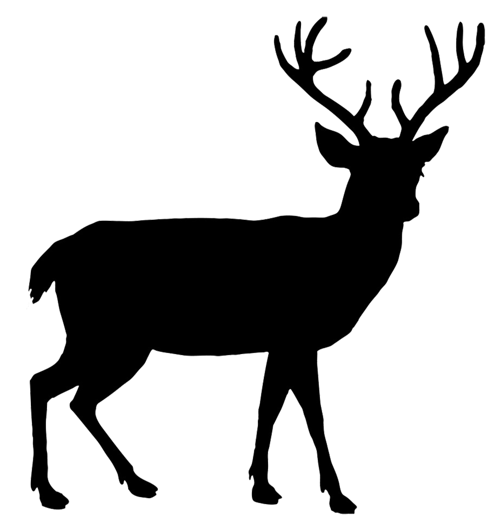 Deer Png PNG Image