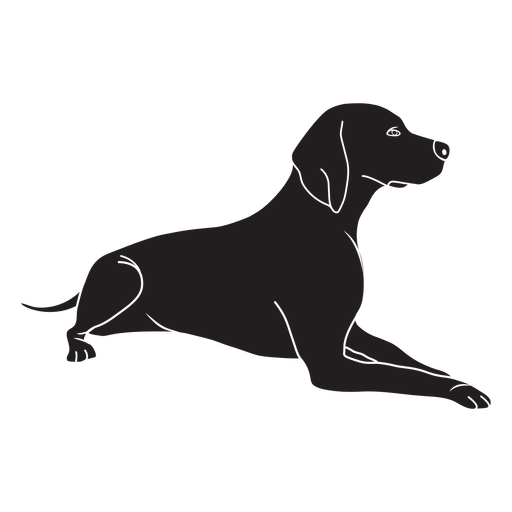 Dog Black Labrador Sitting Download HQ PNG Image