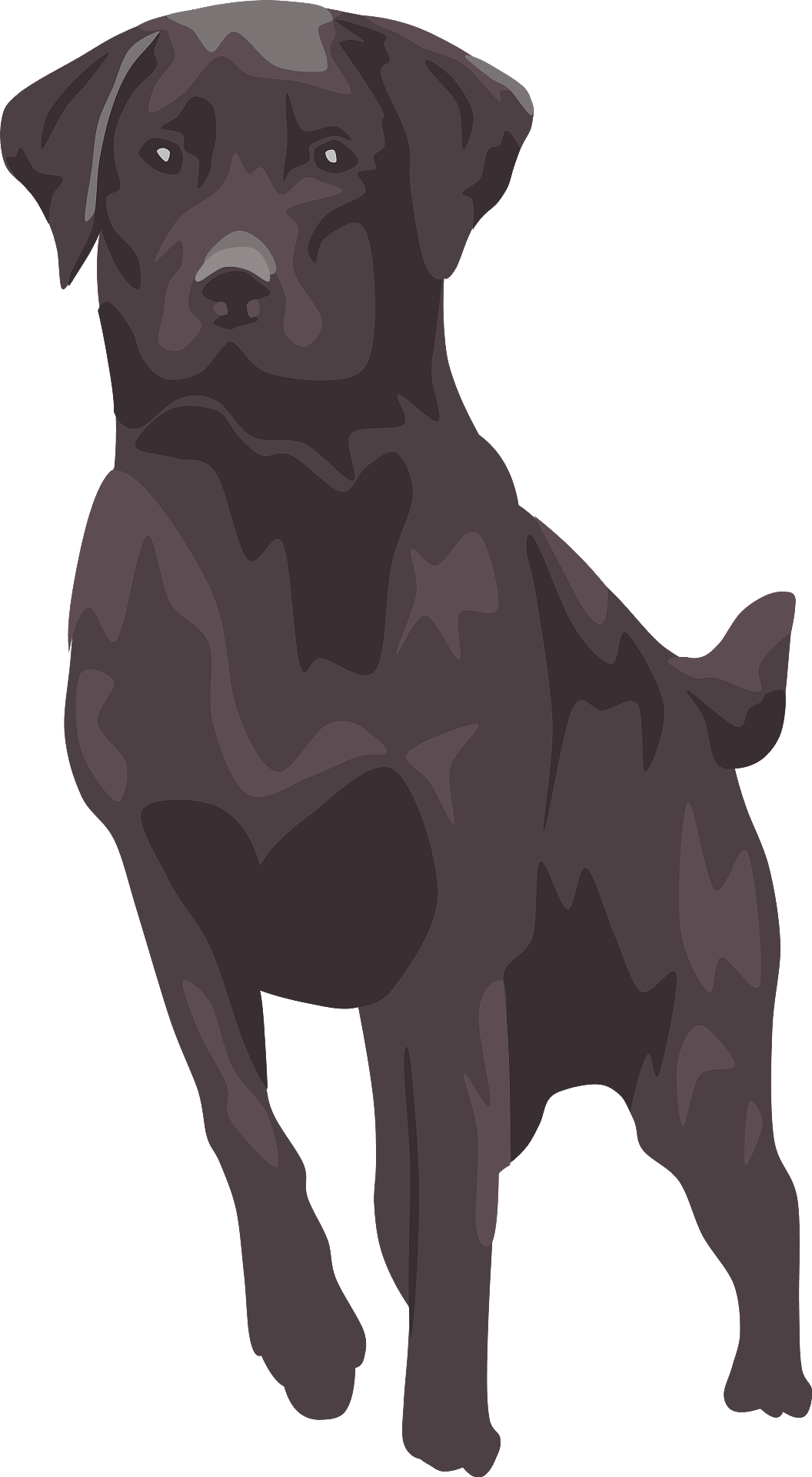 Vector Black Labrador Dog Free Clipart HQ PNG Image