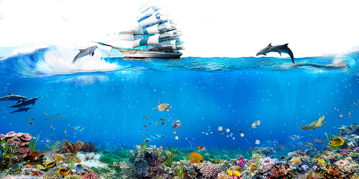 Underwater Wallpaper Sailing Singapore Dolphin World Android PNG Image