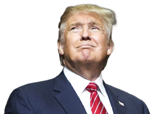 Donald Trump Png PNG Image