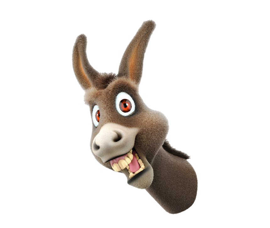Funny Donkey Photos PNG File HD PNG Image