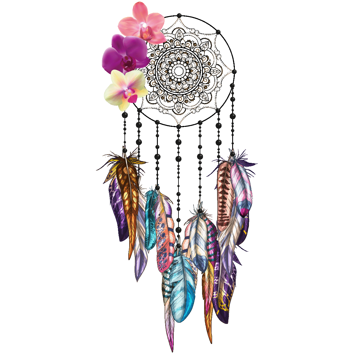 Wall Sticker Dreamcatcher Decal Orchids Free HQ Image PNG Image