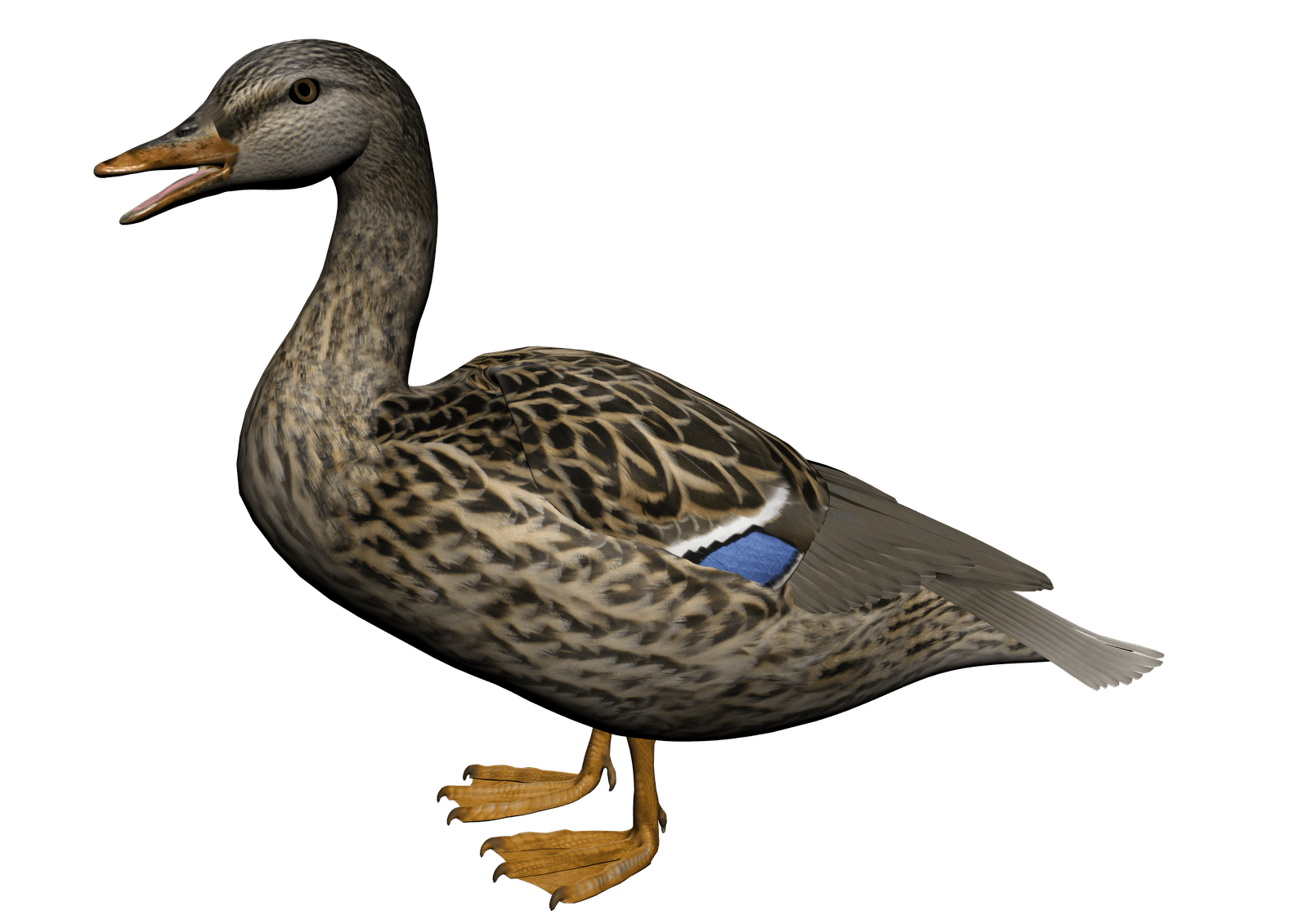 Duck Png Image PNG Image