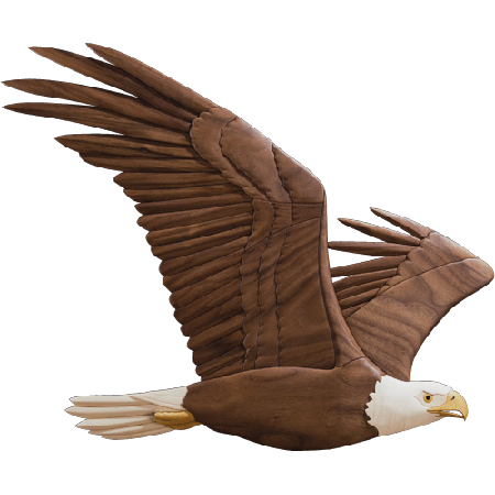 Soaring Eagle Transparent Image PNG Image