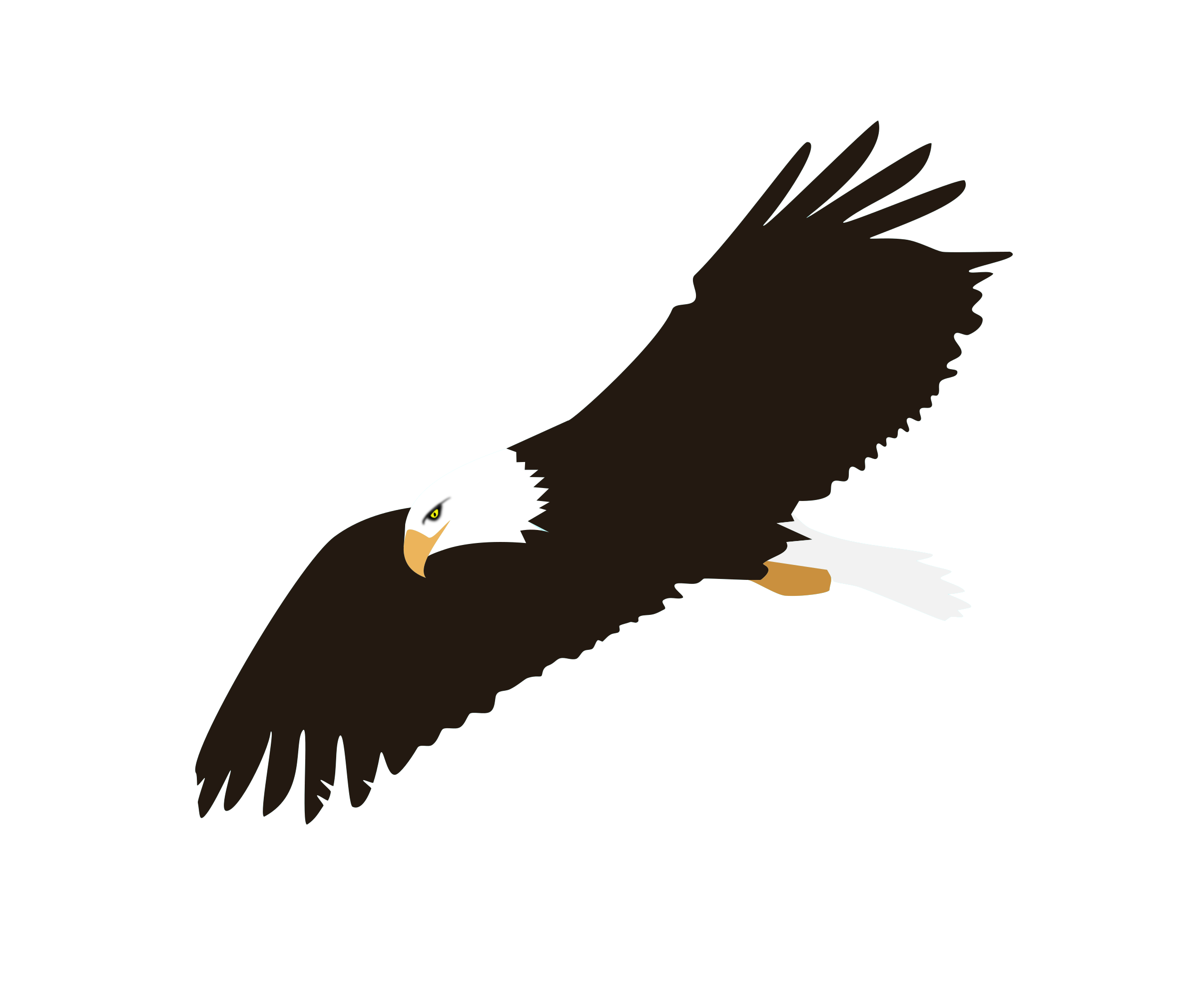 Soaring Eagle Image PNG Image