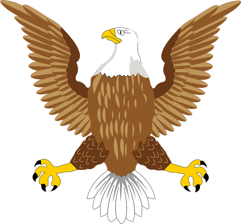 Eagle Symbol Image PNG Image