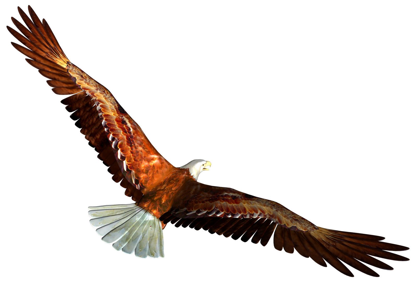 Soaring Eagle Clipart PNG Image
