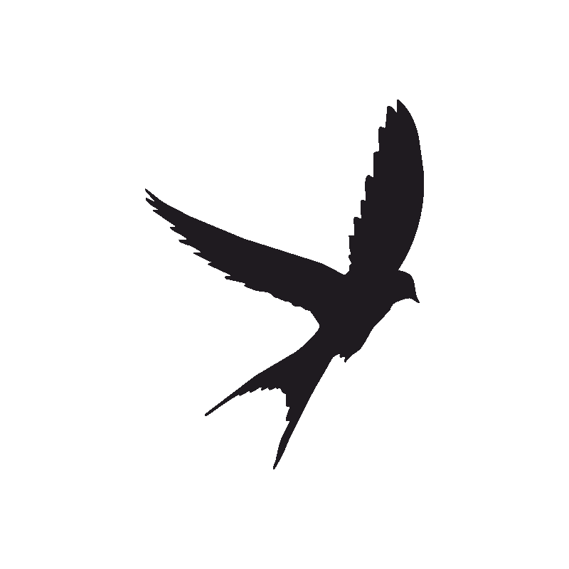 Tattoo Swallow Silhouette Bird Eagle Free Download PNG HD PNG Image