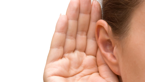 Human Ear PNG Image