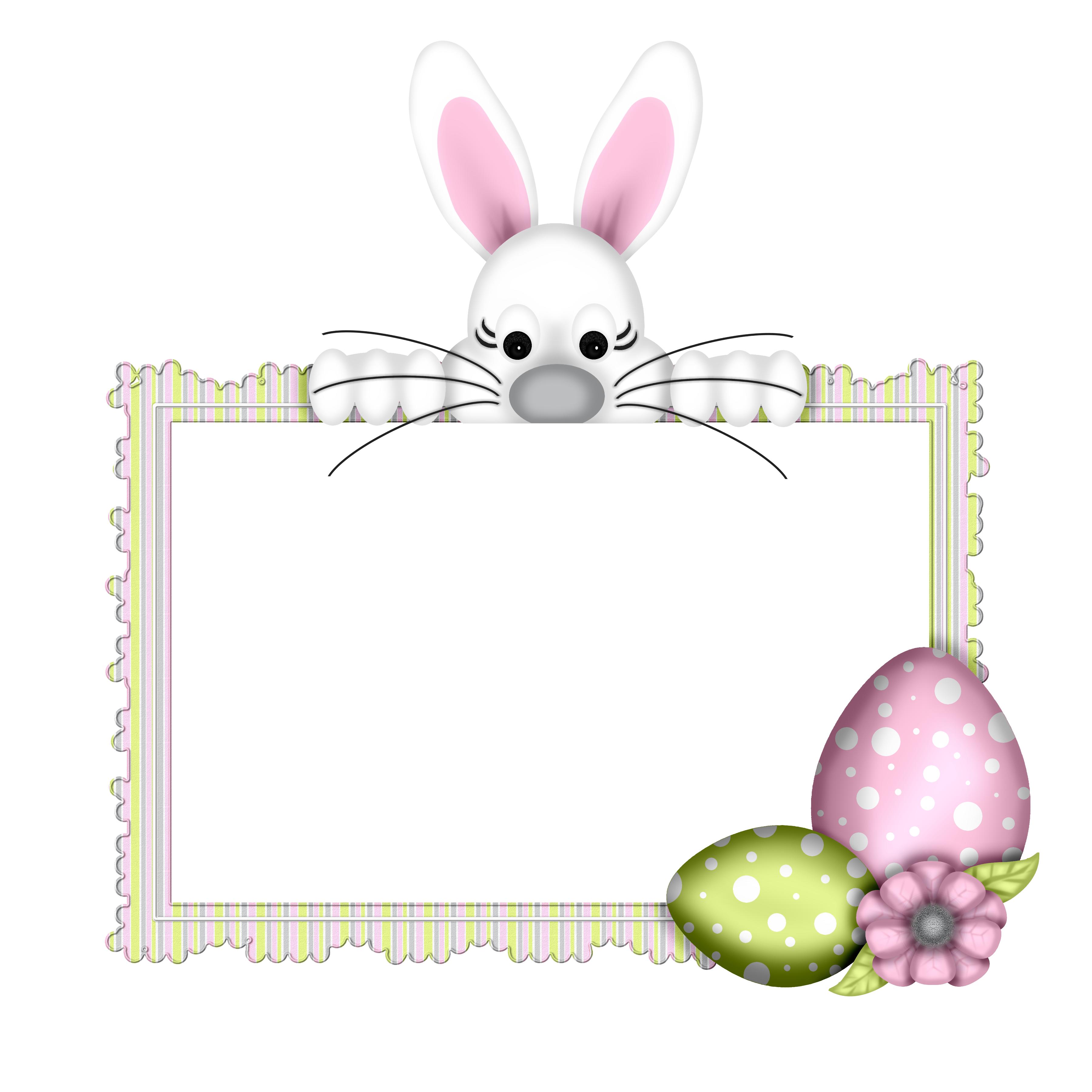 Bunnies Hare Easter Photography Egg Bunny PNG Image