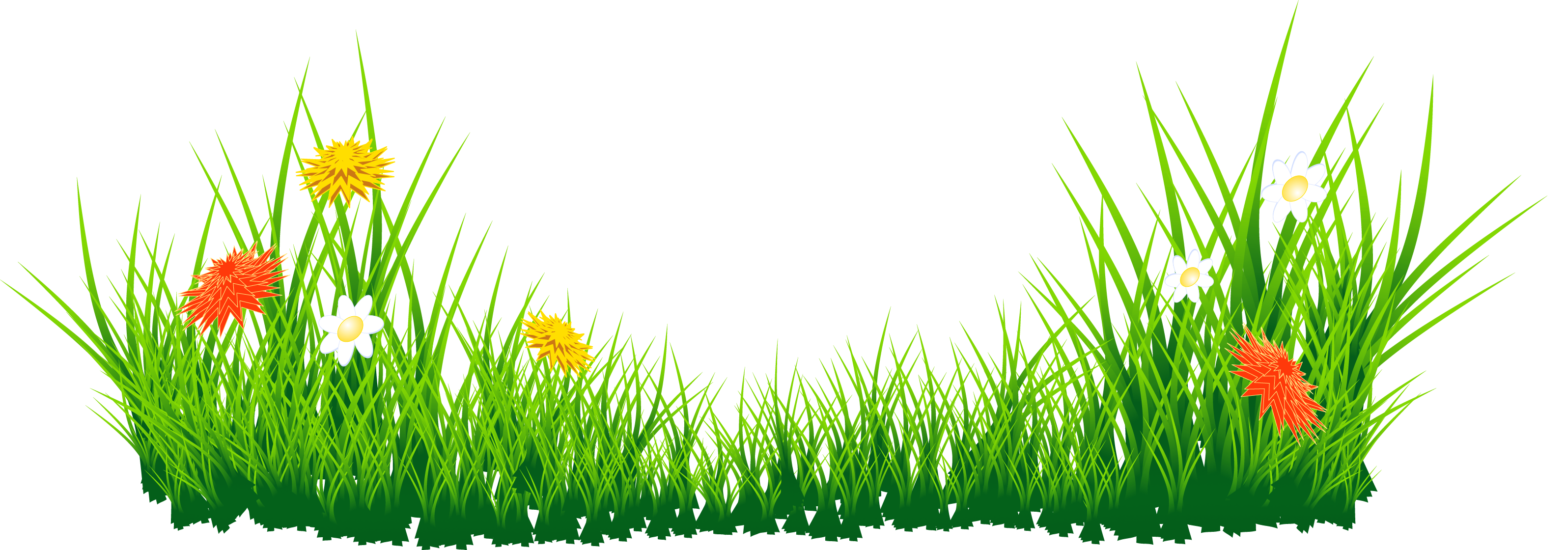 Easter Grass PNG Image