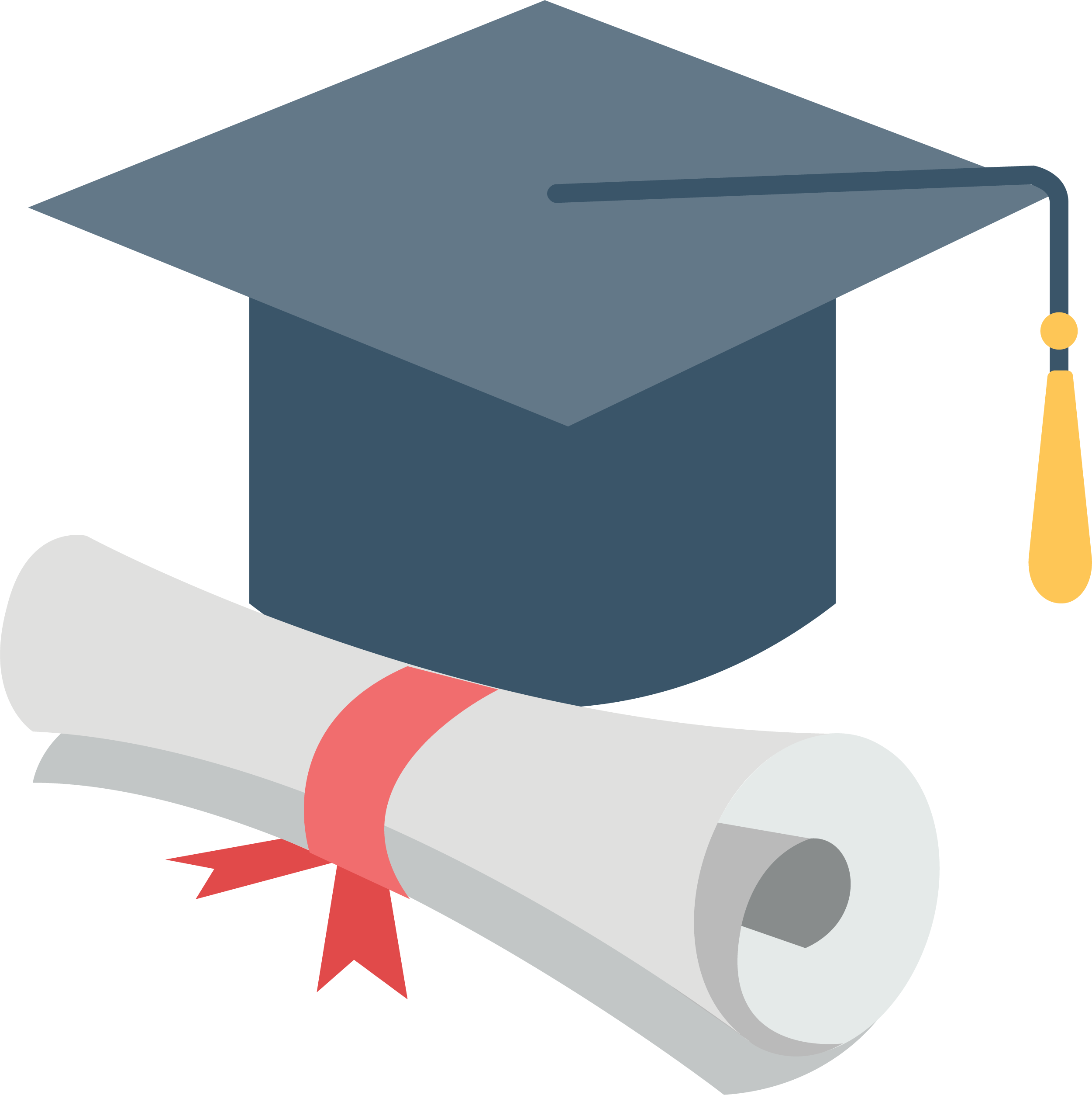 Ceremony And Certificate Degree Cap Graduation Bachelor PNG Image