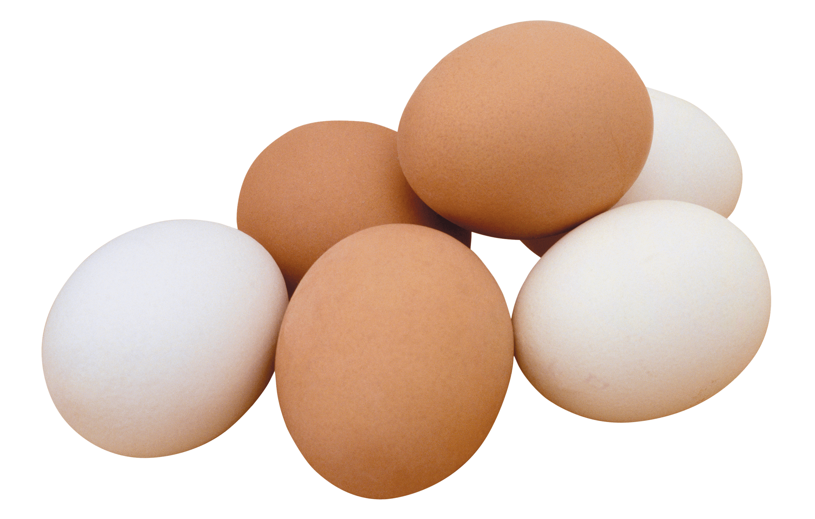 Egg Png Image PNG Image