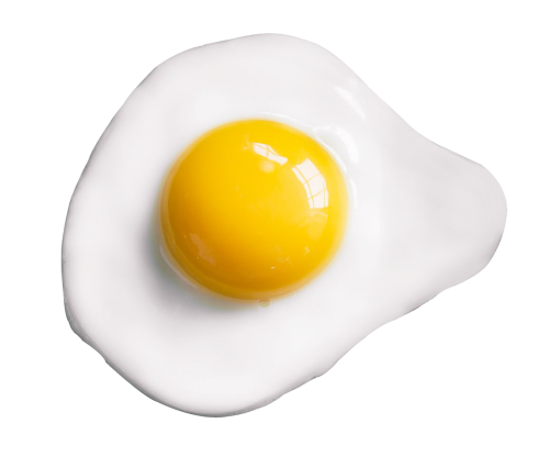 Fried Egg Free Download Image PNG Image