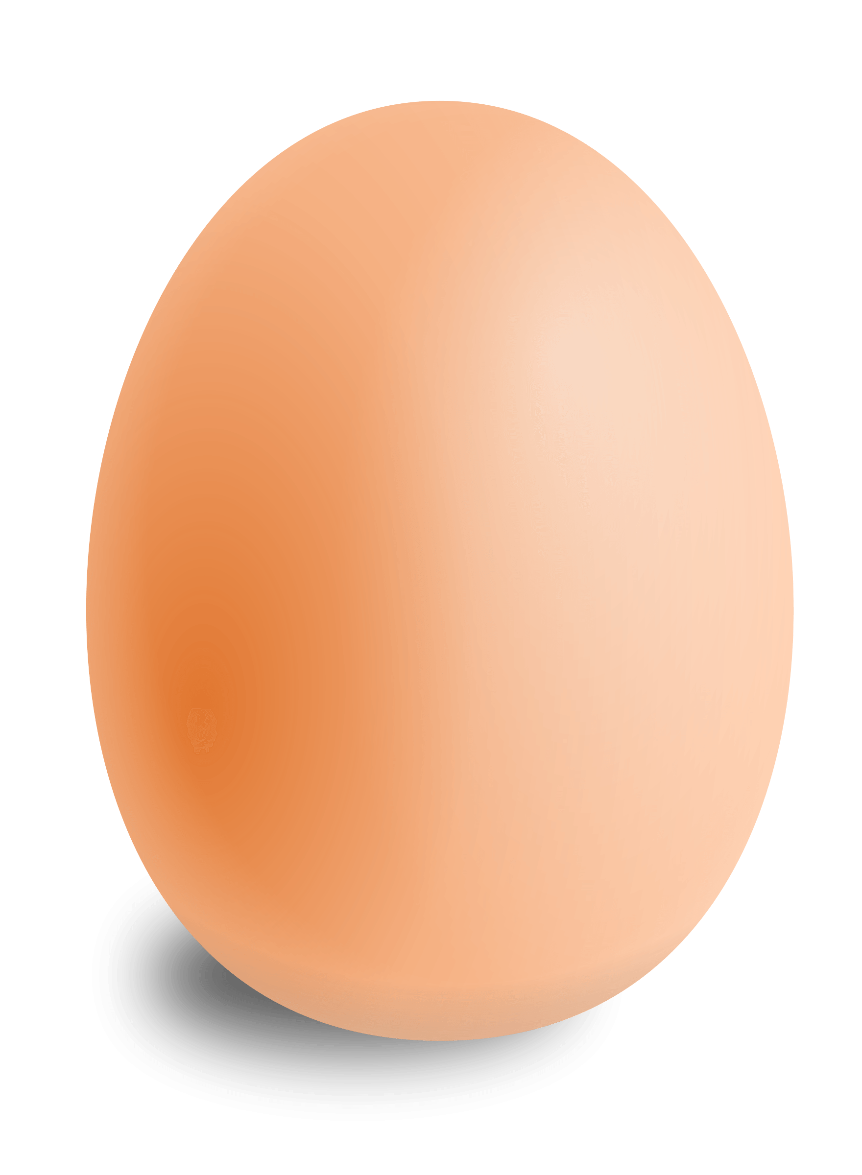 Egg Png Image PNG Image