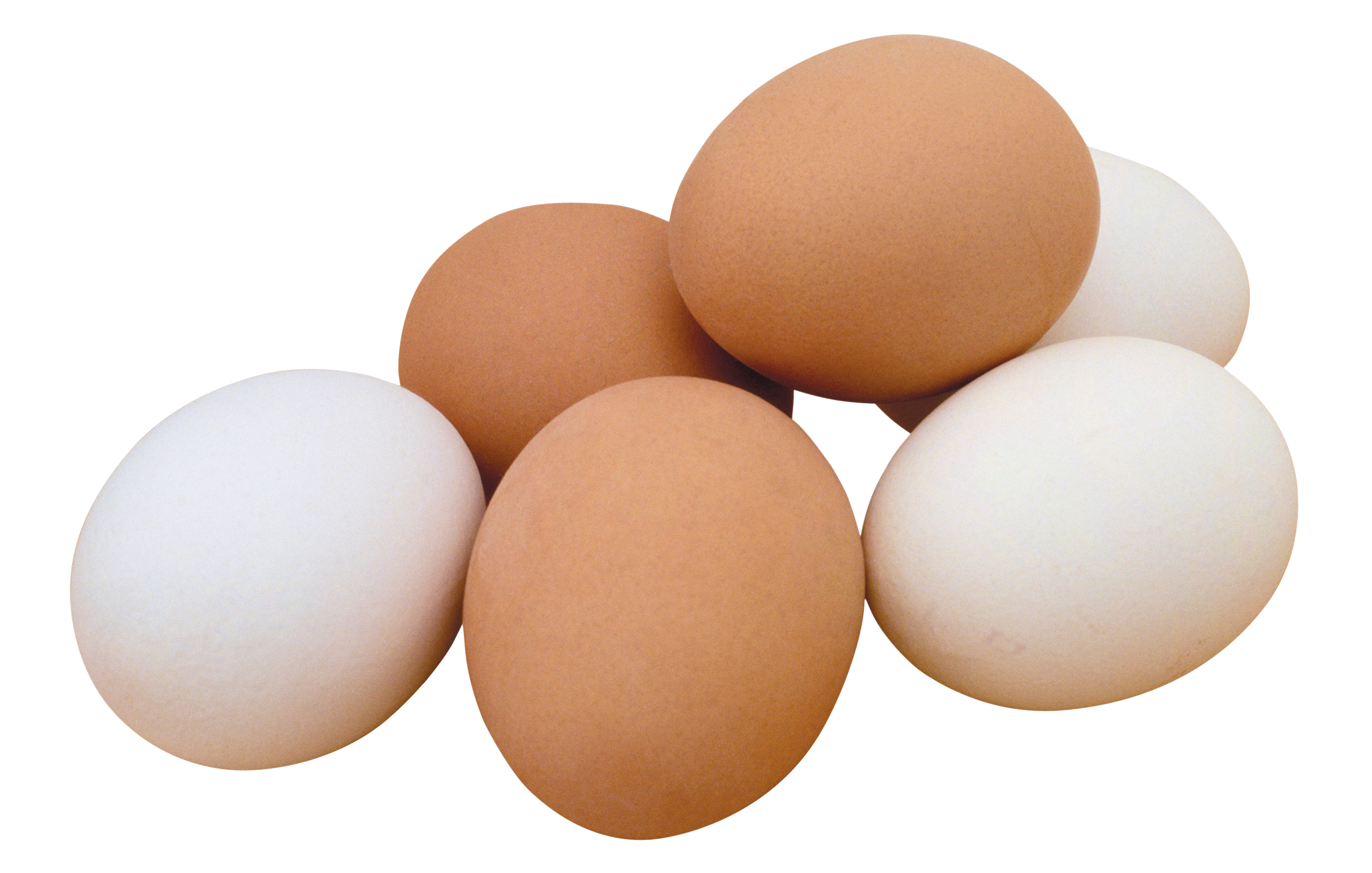 Egg Transparent PNG Image