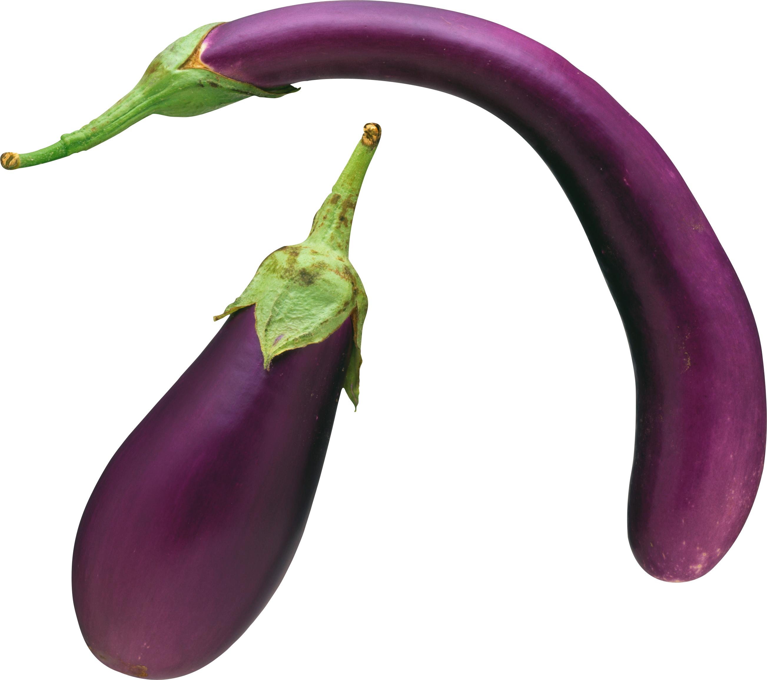 Brinjal Eggplant PNG Download Free PNG Image