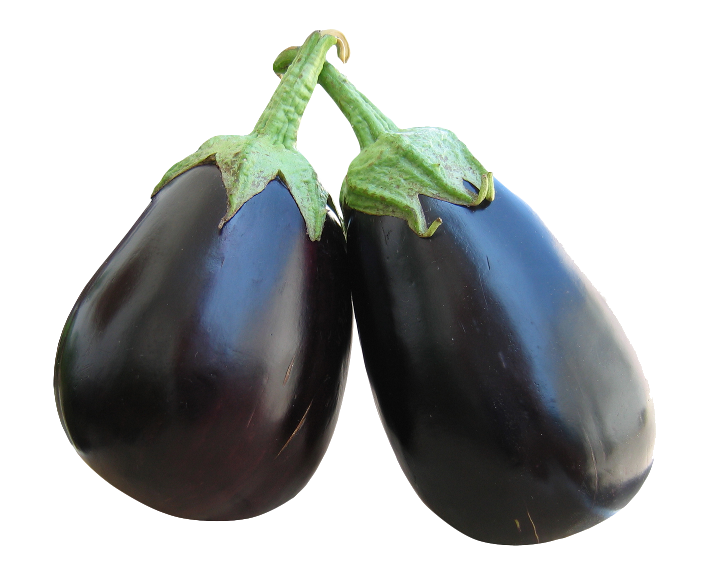 Brinjal Eggplant Bunch Free Clipart HQ PNG Image