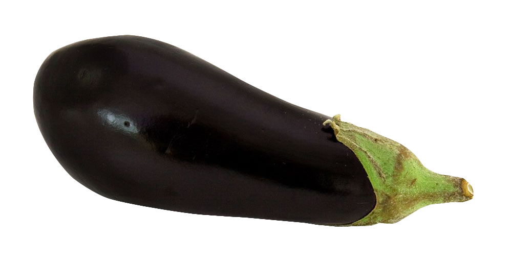Single Brinjal Eggplant HQ Image Free PNG Image