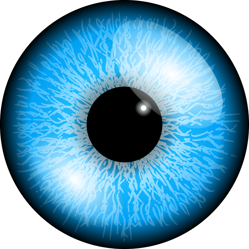 Eye Png Image PNG Image