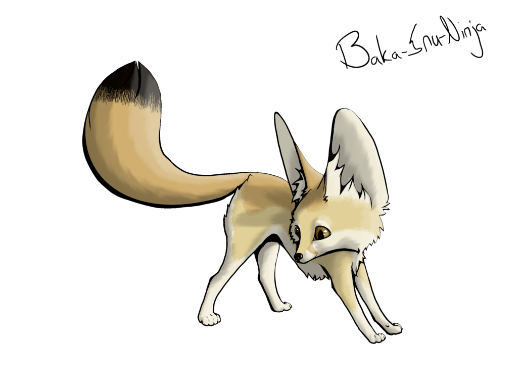 Fennec Fox Transparent PNG Image