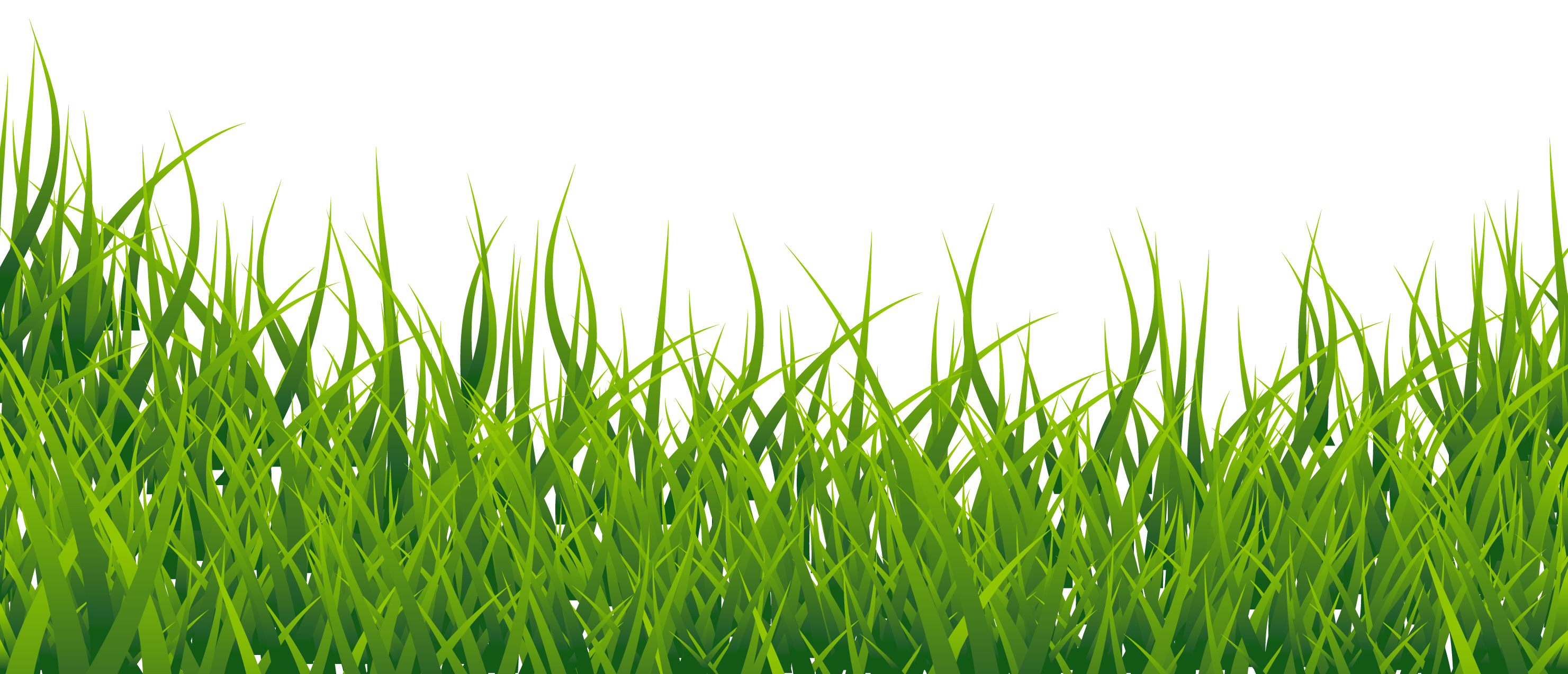 Summer Green Field Free Transparent Image HQ PNG Image