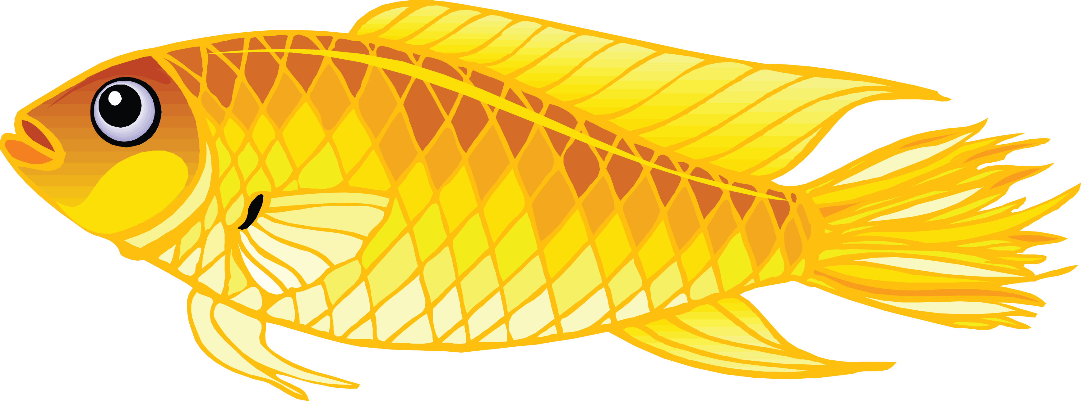 Gold Fish Png Image PNG Image