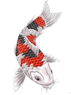 Fish Tattoos Picture PNG Image
