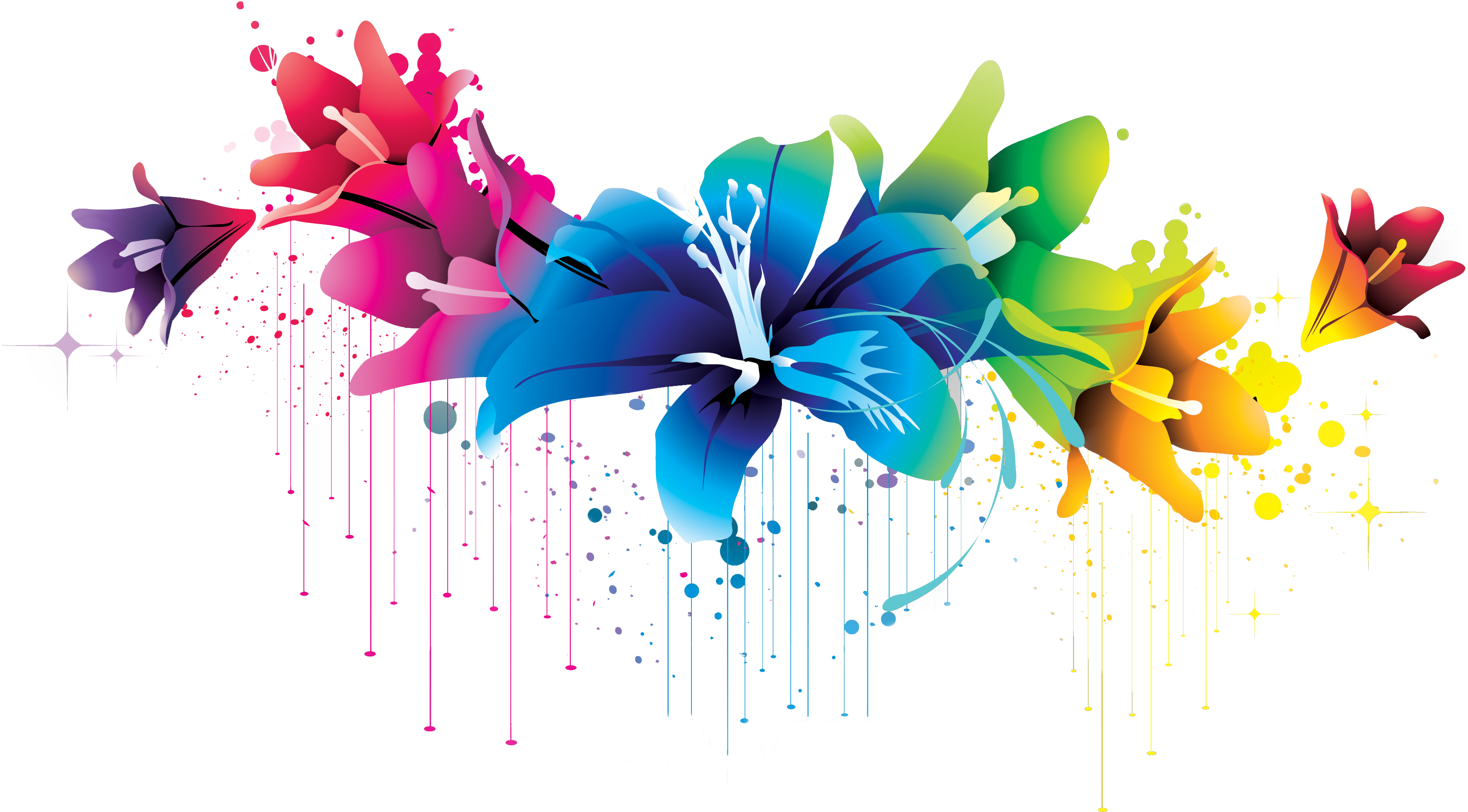 Colorful Flowers Image PNG Image
